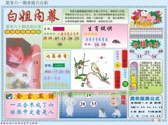 白小姐内幕A